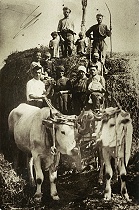 Foto storica della famiglia Scibè