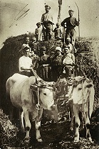 Foto storica della famiglia Scib