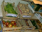 germog10.jpg (14064 byte)
