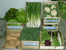 Ortaggi e verdure