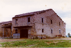 Azienda Agricola Ricciotti Antonio 