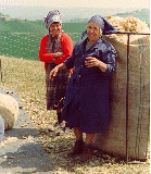 La tosatura