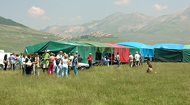 La "Festa dei pastori"  in pieno svolgimento