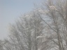thm_Dscn4257.jpg